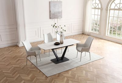 109 Dining Table with 1218 chairs