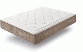 Lumbar Tech Mattress